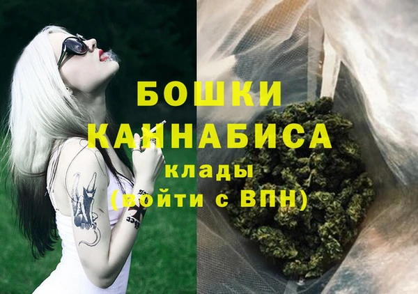 дурь Горно-Алтайск