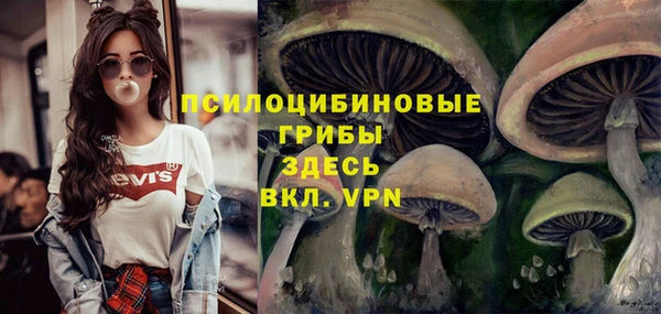 PSILOCYBIN Гусь-Хрустальный