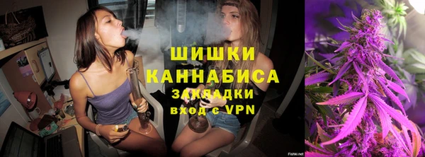 дурь Горно-Алтайск